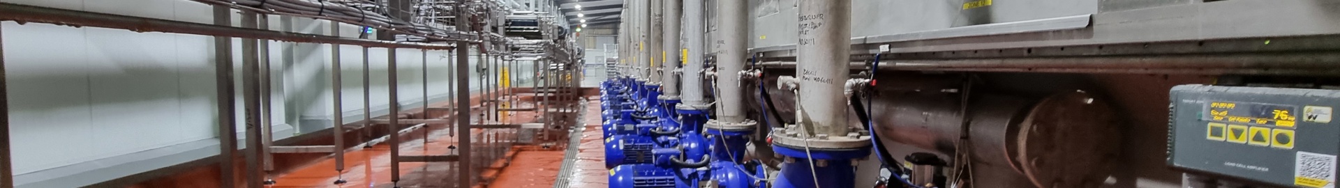 Hereford Contract Canning Company 5